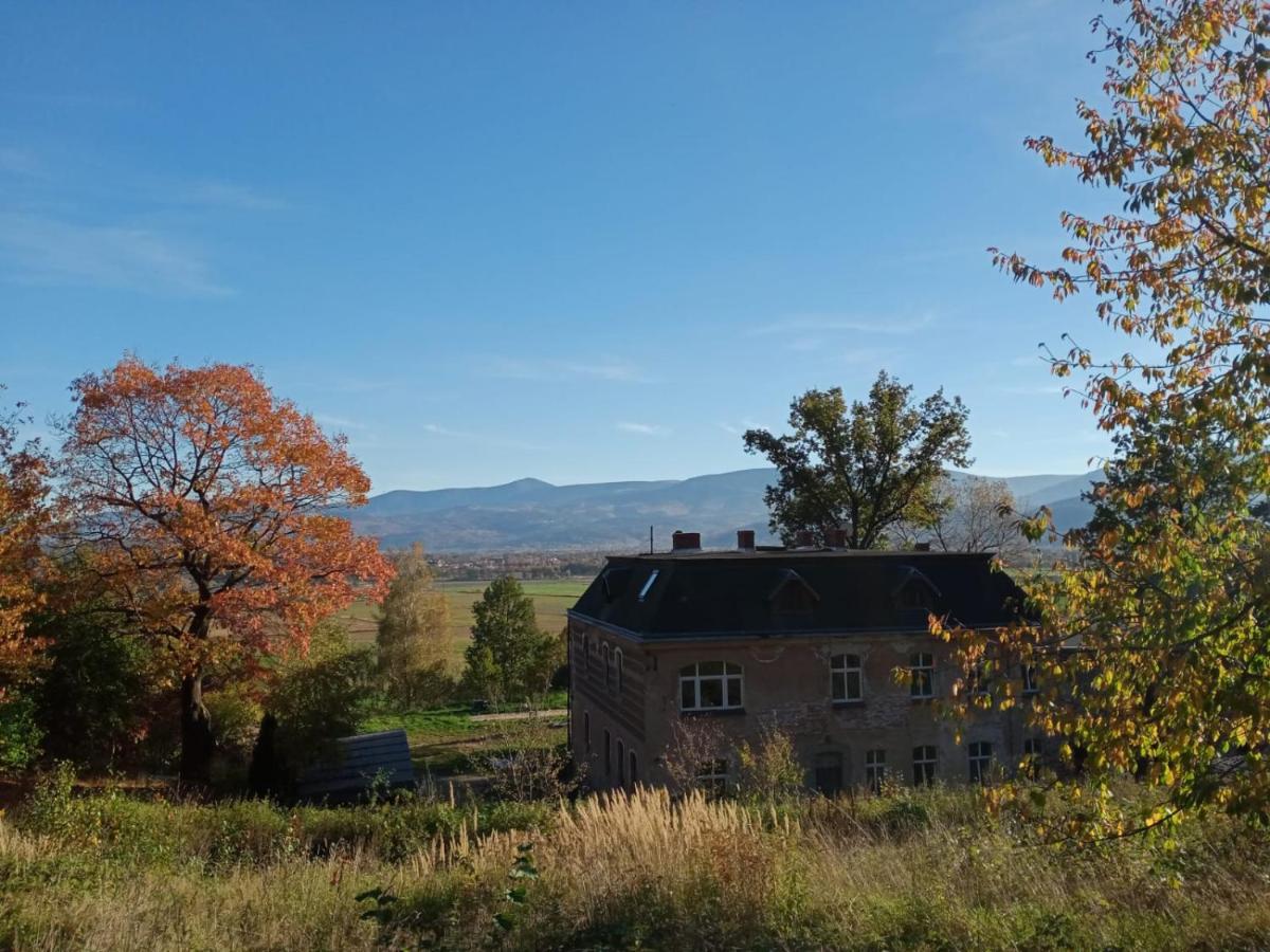 Sunny Bear Bed & Breakfast يلينيا غورا المظهر الخارجي الصورة