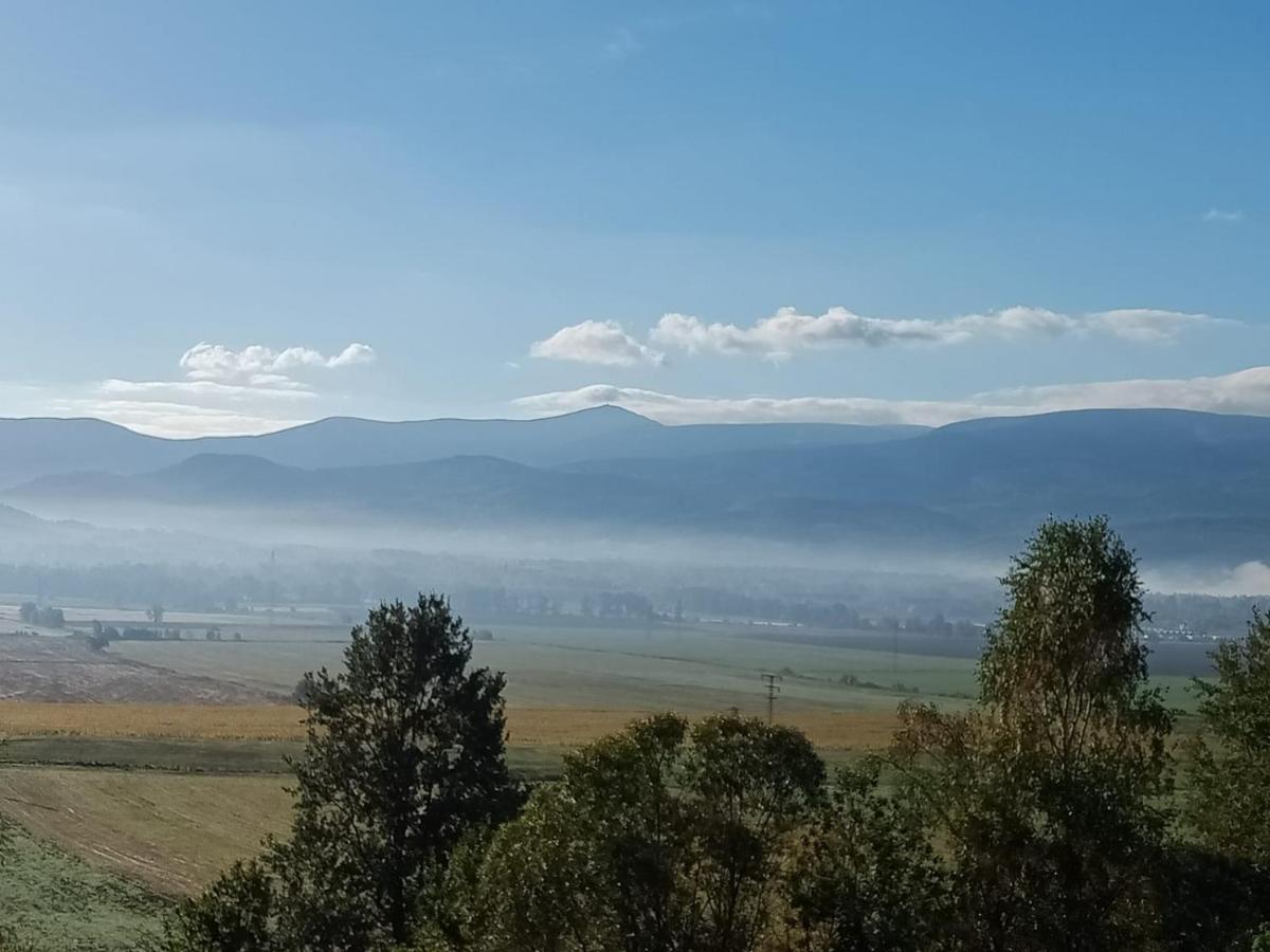 Sunny Bear Bed & Breakfast يلينيا غورا المظهر الخارجي الصورة