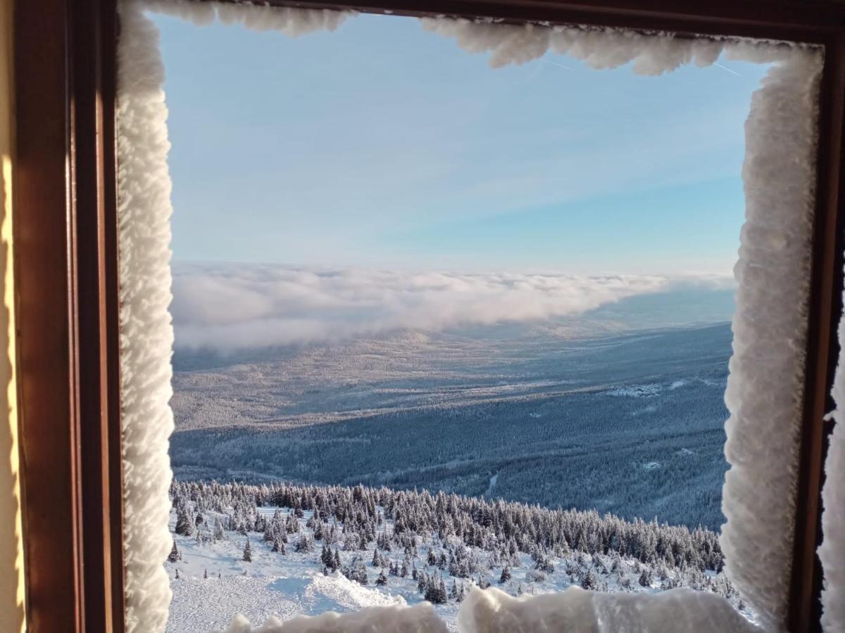 Sunny Bear Bed & Breakfast يلينيا غورا المظهر الخارجي الصورة