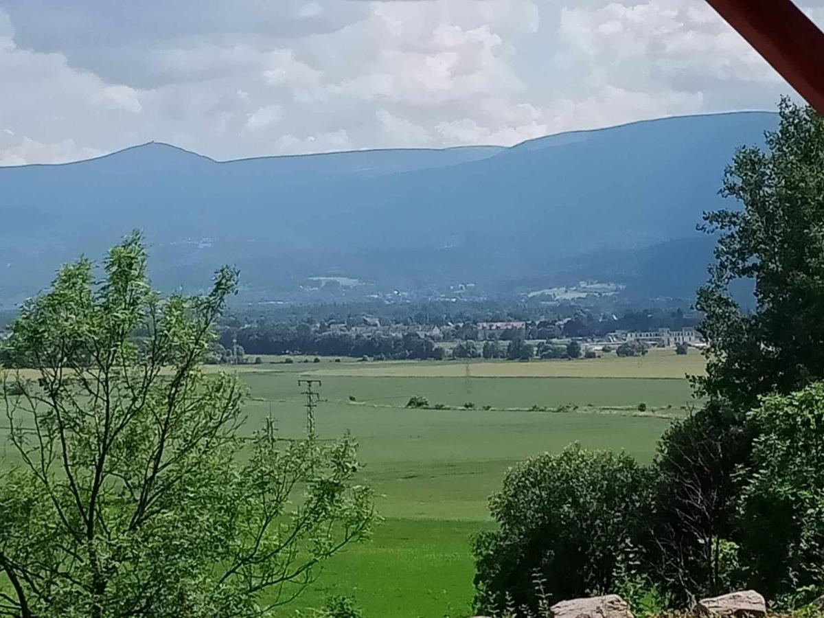 Sunny Bear Bed & Breakfast يلينيا غورا المظهر الخارجي الصورة